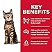 Hill's Science Diet Light, Adult 1-6, Weight Management Support, Dry Cat Food, Chicken Recipe, 16 lb Bag
