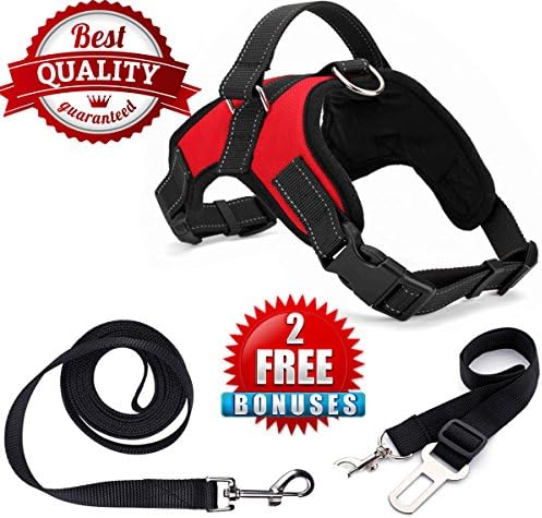Dagaff Pet Dog Harness No-Pull Pet Harness Adjustable Outdoor Pet with free leash and seat belt (M, Red)
