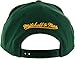 Mitchell & Ness Men's Green Bay Packers Snapback Cap, Green