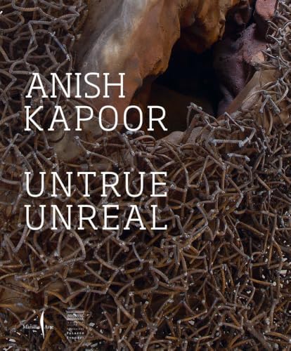 Anish Kapoor (20th century living masters): Anfam, David, Burton