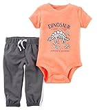 Carter's Baby Boys' 2 Piece Dinosaur Set