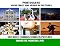 Livro Your First 100 Verbs In Pictures In Portuguese: 100 most common verbs in pictures in Portuguese (Portuguese Verbs in Pictures Livro 1)