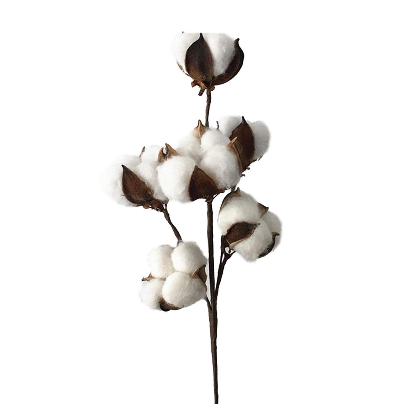 Buy Ellaroom Pragmatic Cotton Stems 3 Pack 10 Balls Per Stem
