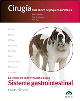 Pdf Gratis El Aparato Digestivo Cirugía En La Clínica De -