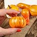 Darice Mini Decorative Realistic Fall Pumpkins and Gourds - Pkg of 24