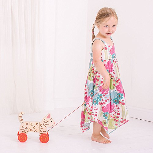 Bigjigs Toys Cat Pull Along