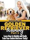 Golden Retriever Training, Part 1: Learn How to Quickly and Easily Train Your Golden Retriever Today!
