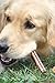 Downtown Pet Supply Bully Sticks - 12
