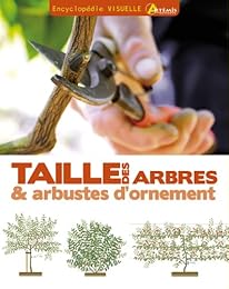 Taille des arbres & arbustes d'ornement