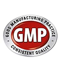 L-CARNITINE Suplemento 1000 mg 200 Cápsulas