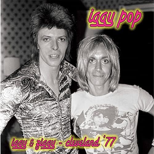 Amazon.com: Post Pop Depression[LP]: CDs & Vinyl