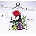 Yiwa Female Orgasmic Enhance Gel Vaginal Tightening Massage Oil Plant Essence Libido Drops Exciter Sexual Enhancement 15ml/0.5fl oz