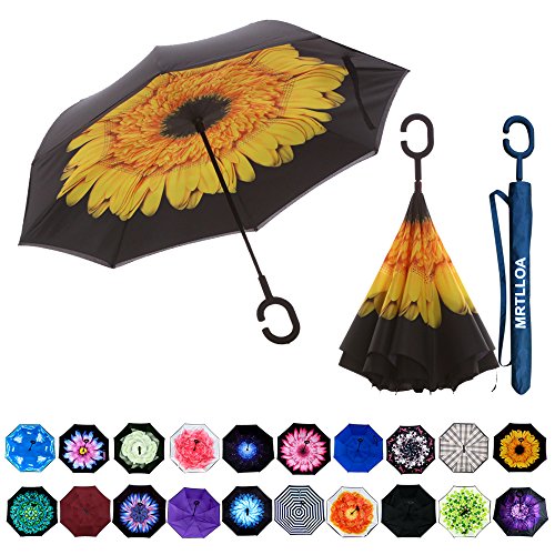 Top 10 best umbrellas personal