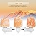 Syntus Himalayan Salt Lamp, 2 Pack Natural Pink Salt Rock Lamps Crystal Lamp Small Hand Carved Night Lights Wall Light with Grounding Plug for Lighting, Air Purifying and Electromagnetic Radiation