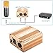 Neewer 1-Channel 48V Phantom Power Supply with Adapter and XLR Audio Cable for Any Condenser Microphone Music Recording Equipment (Gold)