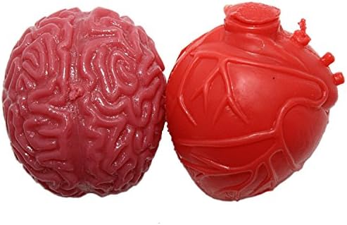 Realistic Heart / Brain Pair Novelty Splat Ball Toys Combo Pack