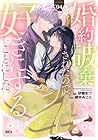 婚約破棄されたので、好きにすることにした。 第4巻
