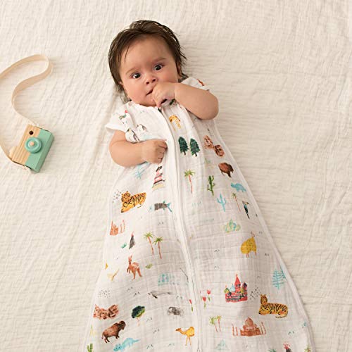 image for aden + anais Classic Sleeping Bag, 100% Cotton Muslin, Wearable Baby B
