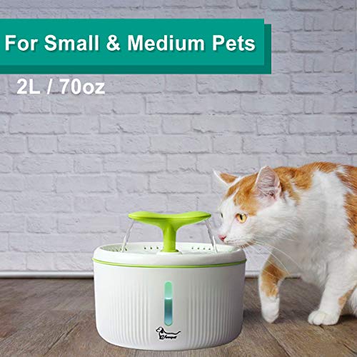 Cat Water Fountain with Water Level Window & LED Light,Flower Pet Drinking Dispenser with 2 Tops,2L Automatic Silent Dog Water Dispenser Feeder Bowl with 2 Replacement Filters for Cat Dog Bird - Thumbnail 6