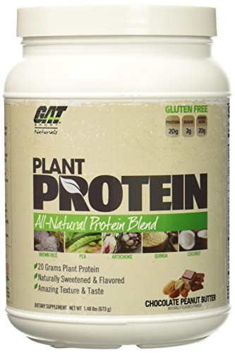 Gat plant protein, chocolate peanut butter 1.48 lbs(673…