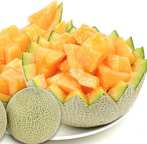 Amazon 販売終了 国華園 超買得 熊本産 クインシーメロン 約4kg1箱 3 6玉 赤肉メロン 濃厚赤肉メロン 数量限定 国華園 メロン 通販