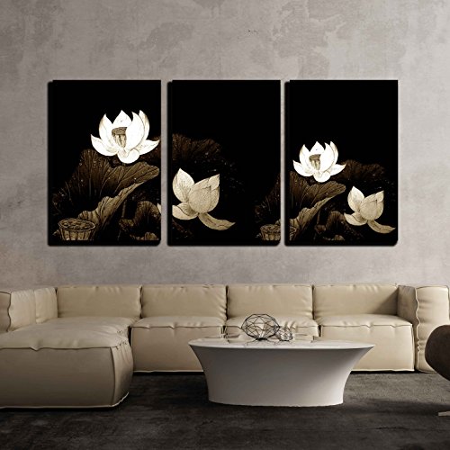 Brown Lotus for Background Used - Modern Home Decor