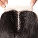 Beauty Forever Hair Brazilian Virgin Hair Body Wave 1 Piece 4×4 Middle Part Lace Closure 100% Unprocessed Human Hair Extensions Natural Color (middle part closure 14'')