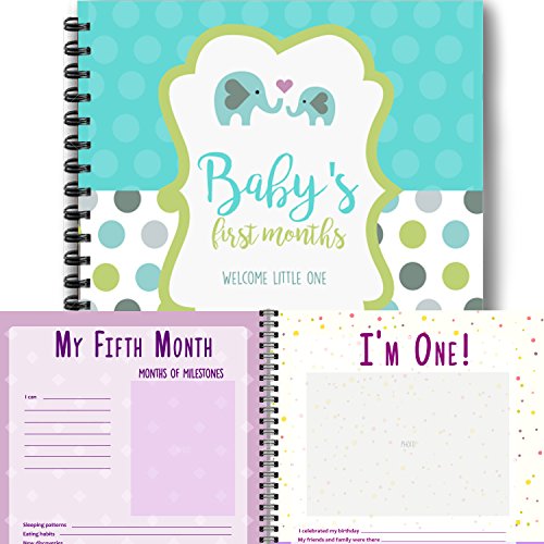 baby's first year record book
