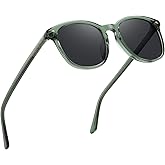 DUCO Polarized Sunglasses Men UV Protection Acetate Frame TAC lenses Trendy Squircle Lenses Shades Sun Glasses for Mens 1266