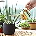 E.Palace Stainless Steel Water Can for Indoor Plants and Garden (Gold 15 oz)