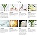 CEWOR 30 pcs Artificial Tulip Flowers Fake PU Flowers for Home Bridal Wedding Party Festival Bar Decoration(White)