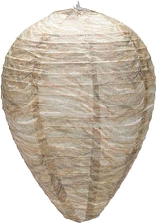 Lda Ottieni Fresco 1 Set Sicuro Non Tossico Trappola Per Api Volanti Insetto Simula Vespa Nido Efficace Detergente Per Vespe Detergente Per Vespe Calabroni Guida La Lanterna Dell Alveare Amazon It Casa E Cucina
