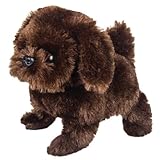 Westminster Pete The Pedigree