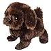 Westminster Pete The Pedigree