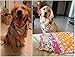 PET SHOW 10 Pack Small Dog Bandanas Boy Cotton Male Cat Puppies Bibs Washable Triangle Head Scarfs Medium Dogs Bandana Photo Prop Grooming Accessories