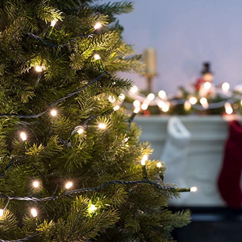 Amazon Basics 100 LED Commercial Grade Outdoor Christmas String Lights