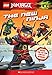 The New Ninja (LEGO Ninjago: Chapter Book #9)