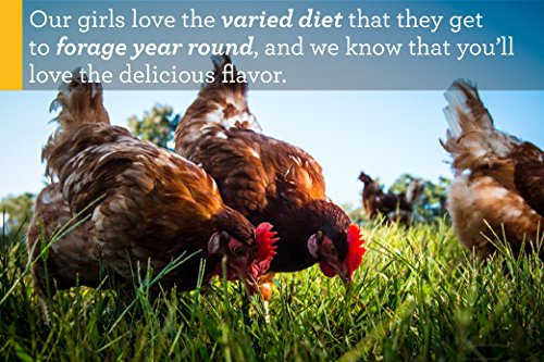 5 Vital+Farms+Alfresco+Pasture+Raised