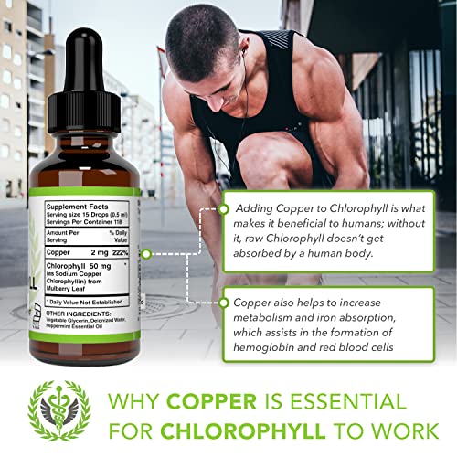 Benevolent Chlorophyll Liquid Drops 100 Natural + 4X Potency