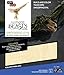 Fantastic Beasts and Where to Find Them Swooping Evil Book and 3D Wood Model Figure Kit - Build, Paint and Collect Your Own Wooden Model - Great for Kids and Adults - 8+ - 6.5