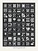 A Stylistic Survey of Graphic Design Poster (18'' X 24'') By Pop Chart