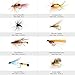 LotFancy Fly Fishing Lures Kit with Tackle Box, Dry/Wet Flies,Nymph Flies, Wooly Bugger Flies, Streamers, Emergers, Caddis Fly Assortment for Trout Bass Salmon