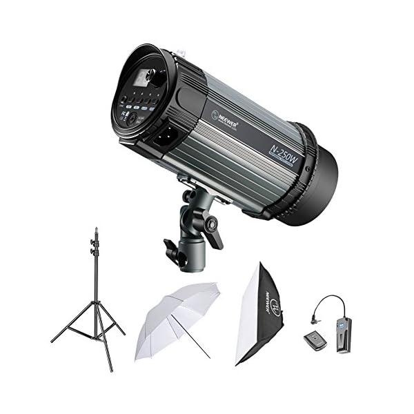 Neewer 250W Studioblitz Röhrenblitz Fotografie Beleuchtungs-Installationssatz: Monolicht, 6,5 Fuß Lichtständer, Softbox…