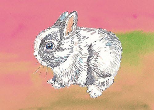 "Baby Bunny" Bunny Rabbit Original Watercolor Print