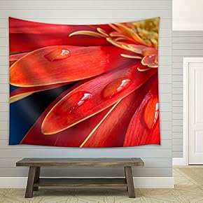 Red Gebera Flower Close Up with Water Drops on The Petal - Fabric Wall Tapestry Home Decor - 51x60 inches