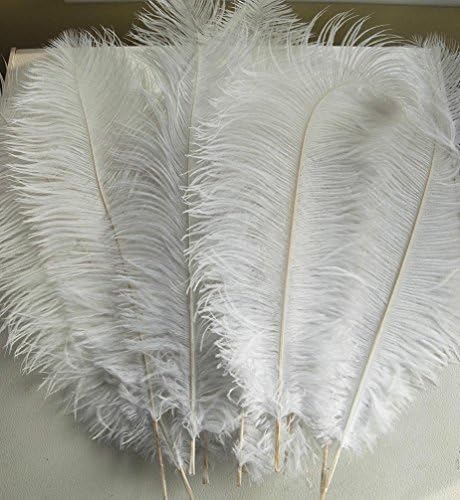 LanShi Natural 12-14inch(30-35cm) Ostrich Feathers Plume for Wedding Centerpieces Home Decoration White 50 Pcs