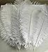 AWAYTR 10-12 inch (25-30cm) Natural Ostrich Feathers for Wedding Centerpieces Home Decoration,Flower Arrangement,DIY Christmas Decorations (50pcs,White)