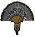 HUNTERS SPECIALTIES Strut Turkey Tail & Beard Mounting Kit - Durable Easy To Assemble Trophy Mount Kit With Hardware Included