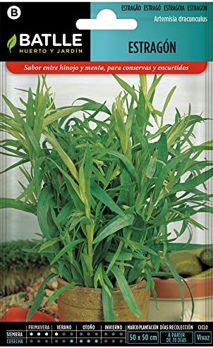 Semillas Aromáticas - Estragón - Batlle: Amazon.es: Jardín