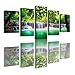 Canvas Wall Art HD Picture Print On Canvas Modern Giclee Artwork Home Decor Stretched and Framed Ready to Hang (Green Waterfall Scenery, 8x12x2pcs+8x16x2pcs+8x20inch x 1pcs)
